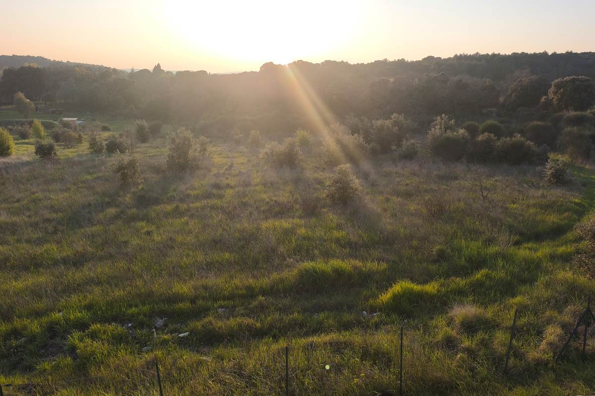 Le Domaine de Jolio - Le coucher du soleil au Jolio !