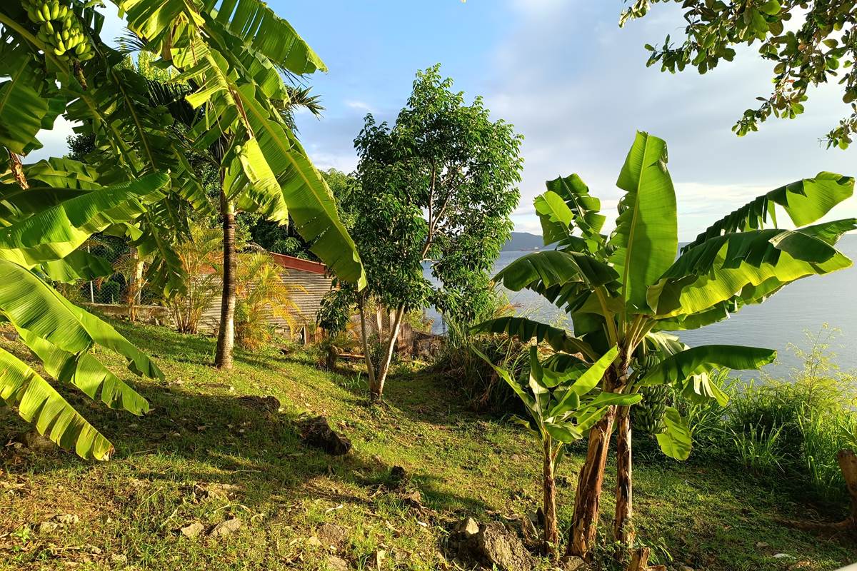 Vue jardin