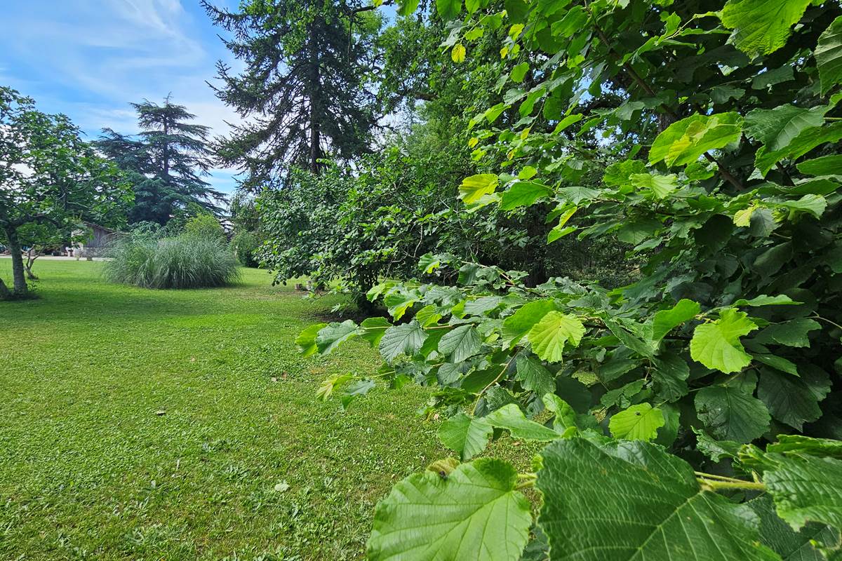 Jardin-clos-arboré-Sud-Ouest de 1800m2-détente-calme