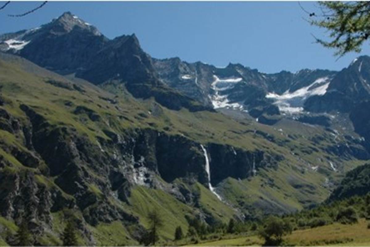Image1