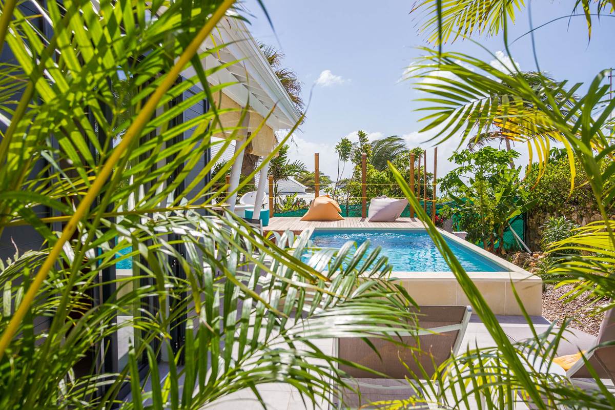 Iguane House villas & Micro Spa Suite Passion piscine