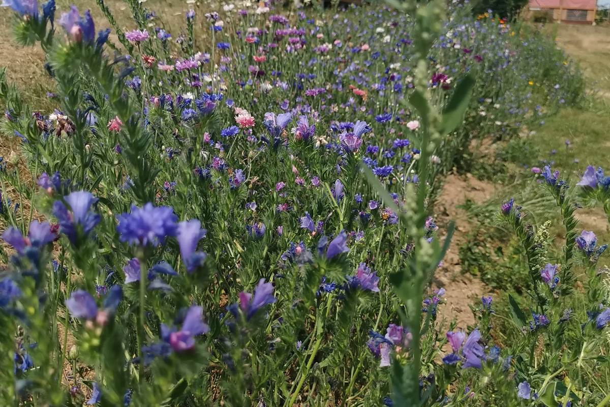 Accès aux sanitaires