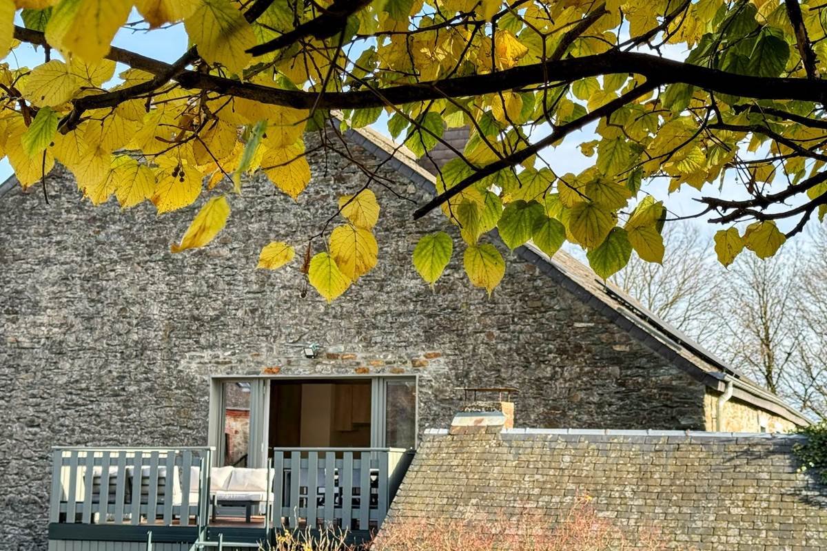 Jardin, vue sur la terrasse
