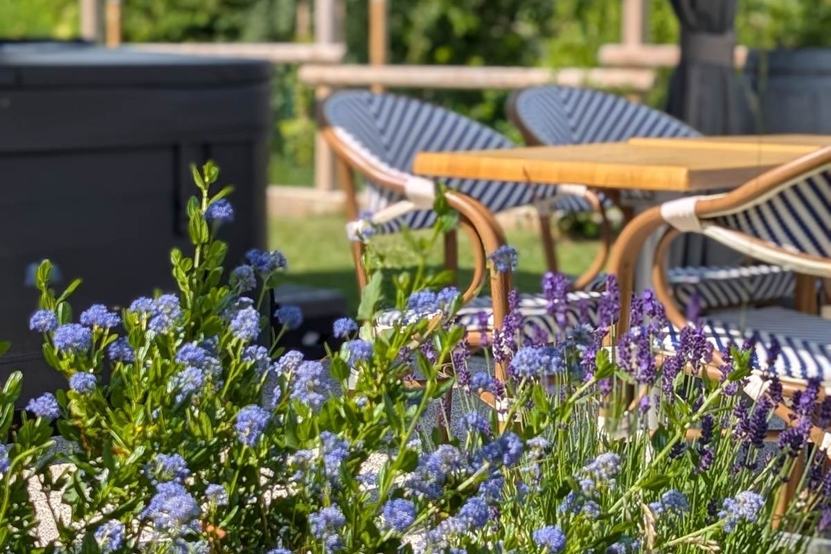 Gîte Le Cémarose en Champagne jardin paysager