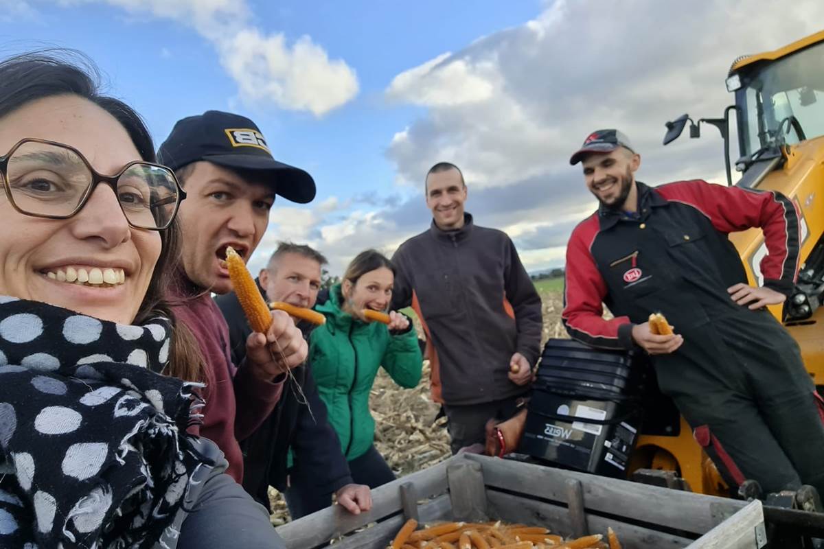 5c81862f-3486-41af-abe0-4365b7f33c5f