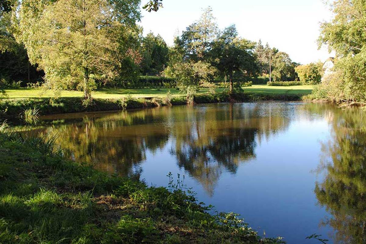 le-manoir-de-la-vielle-douve-3