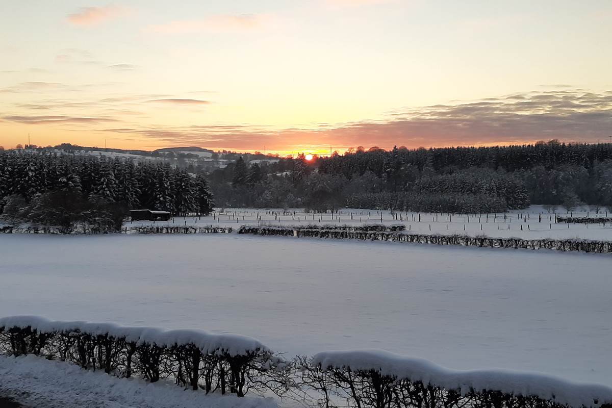 Coucher soleil sur neige janvier 2021