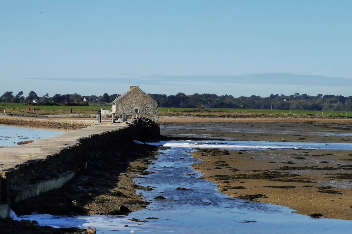 ile d'arz golfe du morbihan  chambre d'hôtes la blanche hermine maison d'hôtes bien être spa morbihan bretagne séjour détente repos ressourcement anti stress burn out cure ayurvédique retraite relaxation méditation