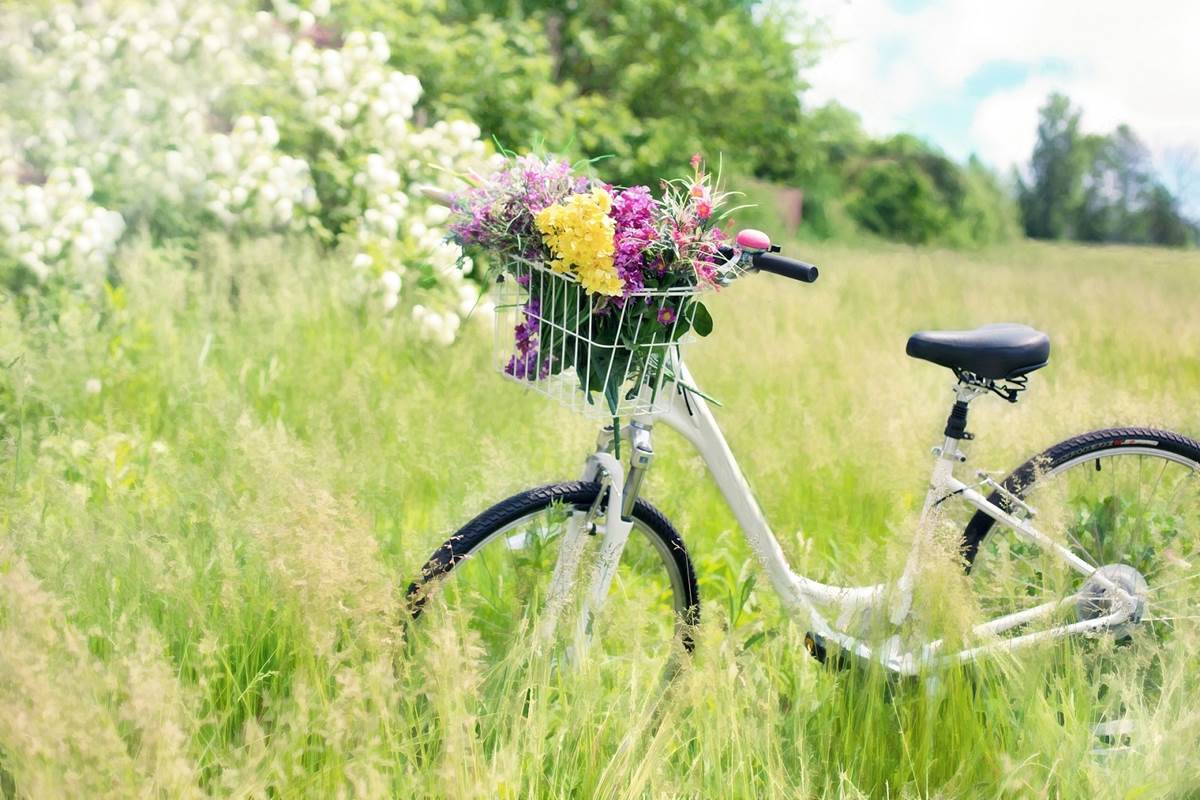 piste cyclable vélo  chambre d'hôtes la blanche hermine maison d'hôtes bien être spa morbihan bretagne séjour détente repos ressourcement anti stress burn out cure ayurvédique retraite relaxation méditation damgan