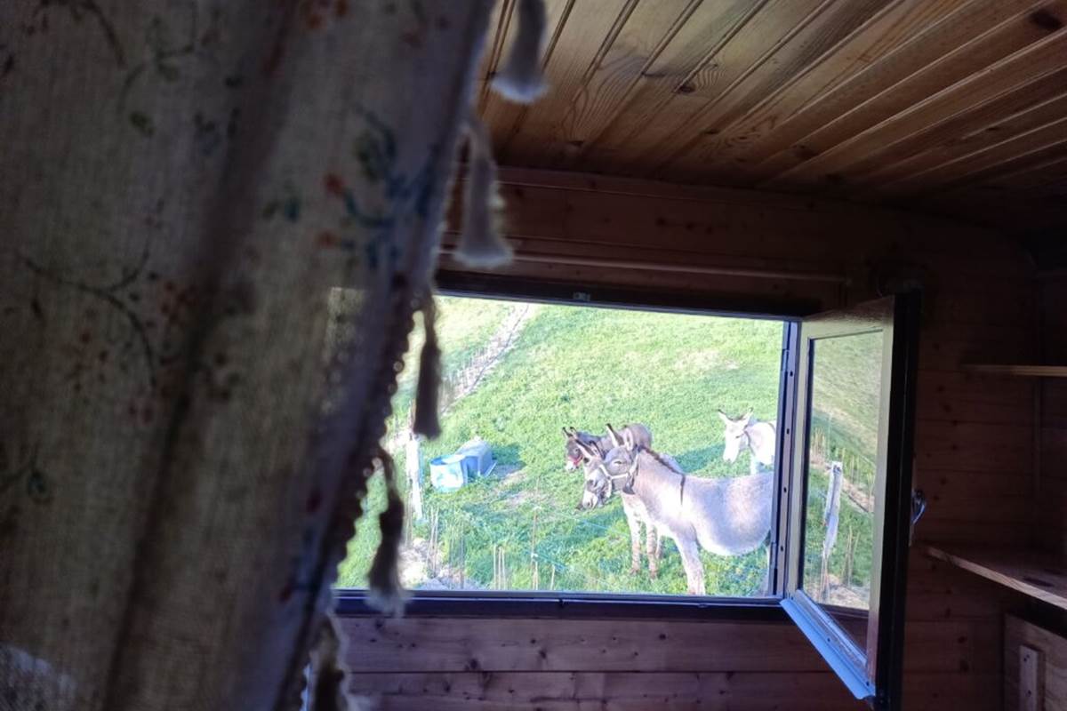 Vue de la fenêtre de la chambre (psst, pas d'inquiétude, les ânes ne dorment pas sous votre fenêtre, ils sont rentrés chaque soir).