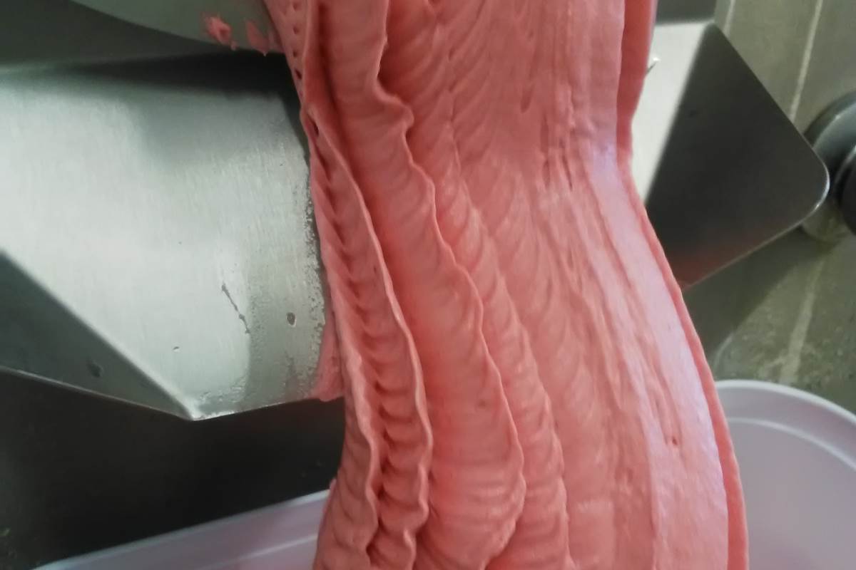 IMG_20181211_105551 - Copie