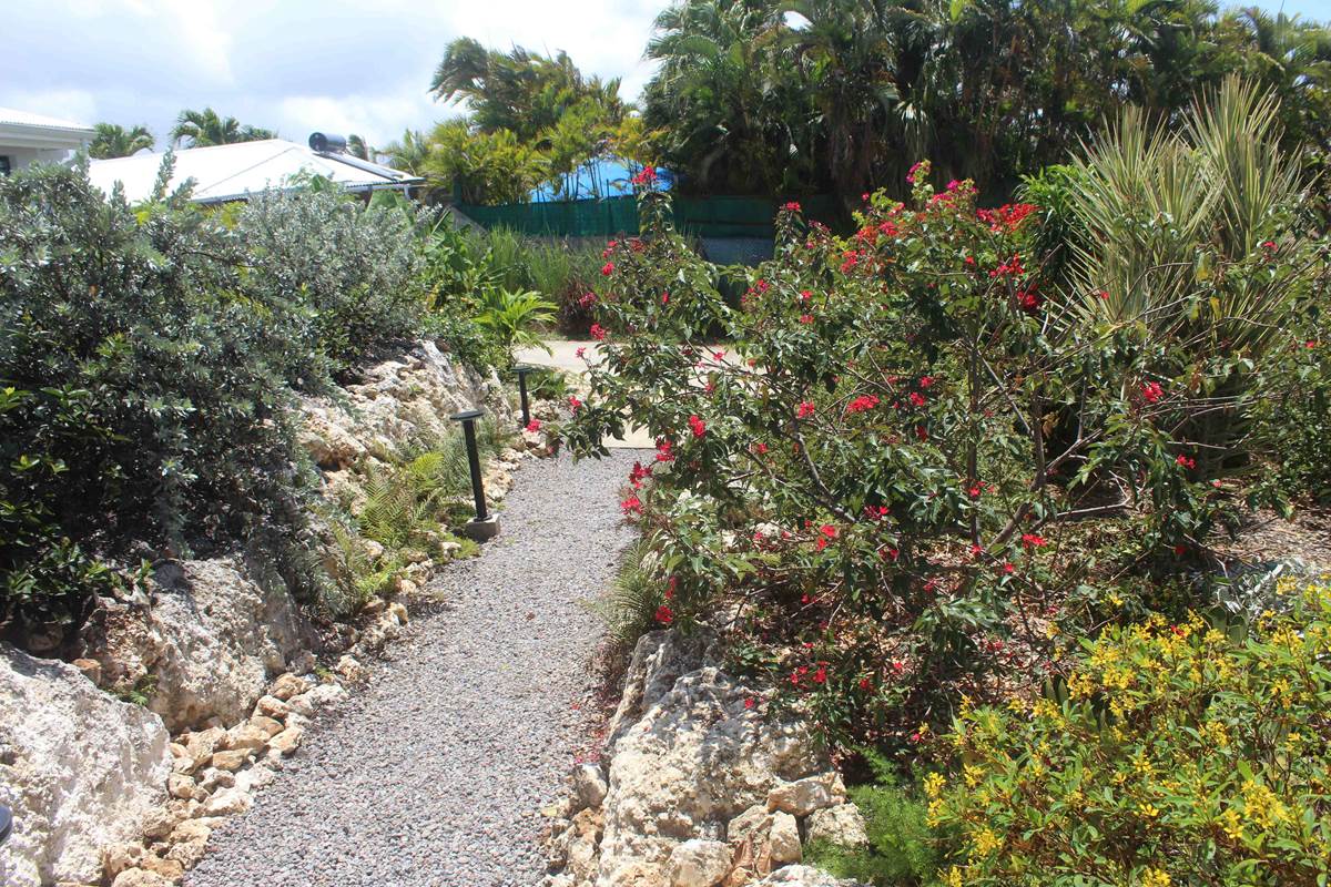 Iguane House villas & Micro Spa Villa Corail allée du jardin paysagé