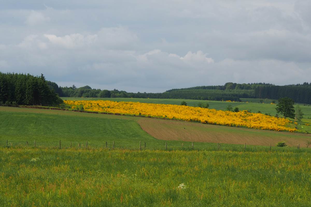 Vue depuis votre chambre à la Chabetaine au printemps