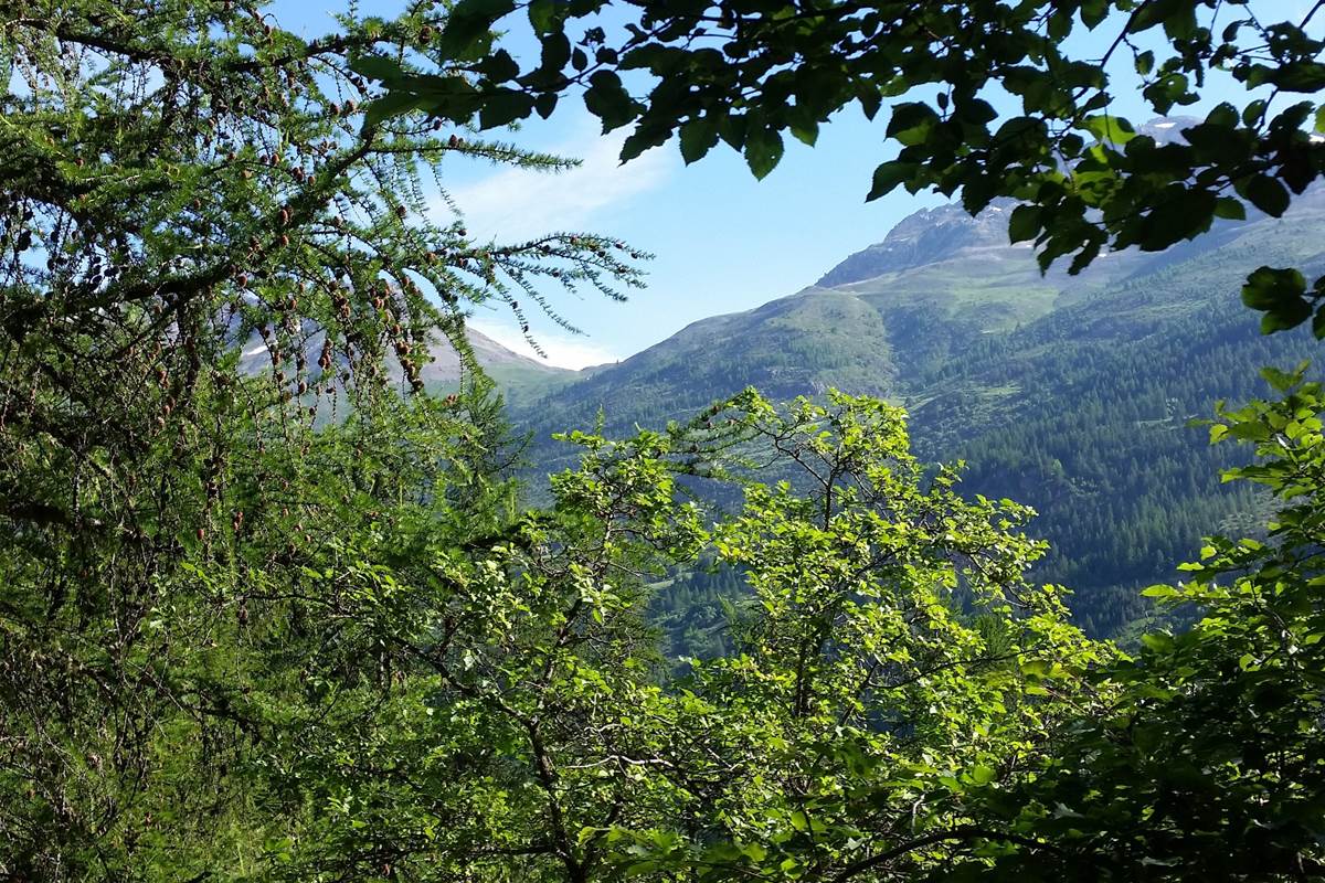 sentier bota 3