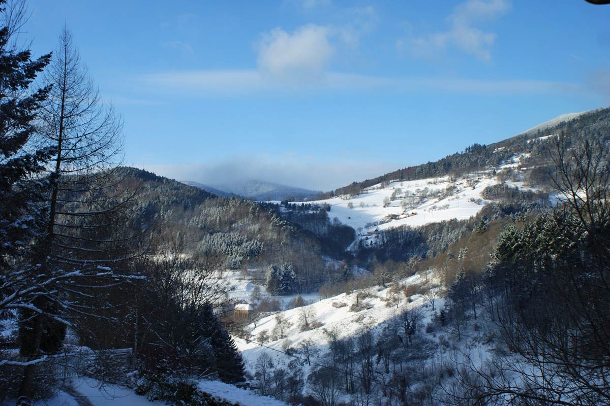 vue sur les collines Vosgiennes en hiver