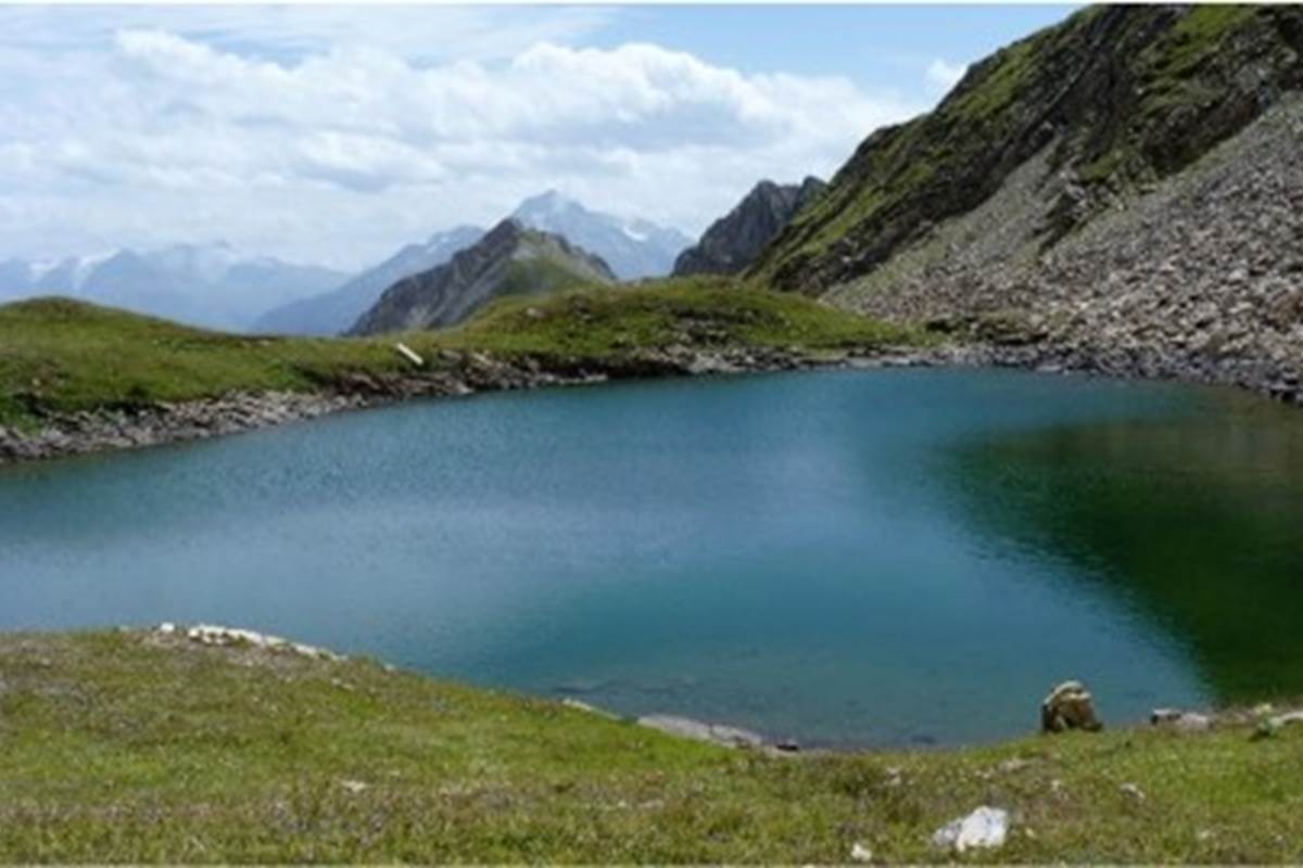 Image1