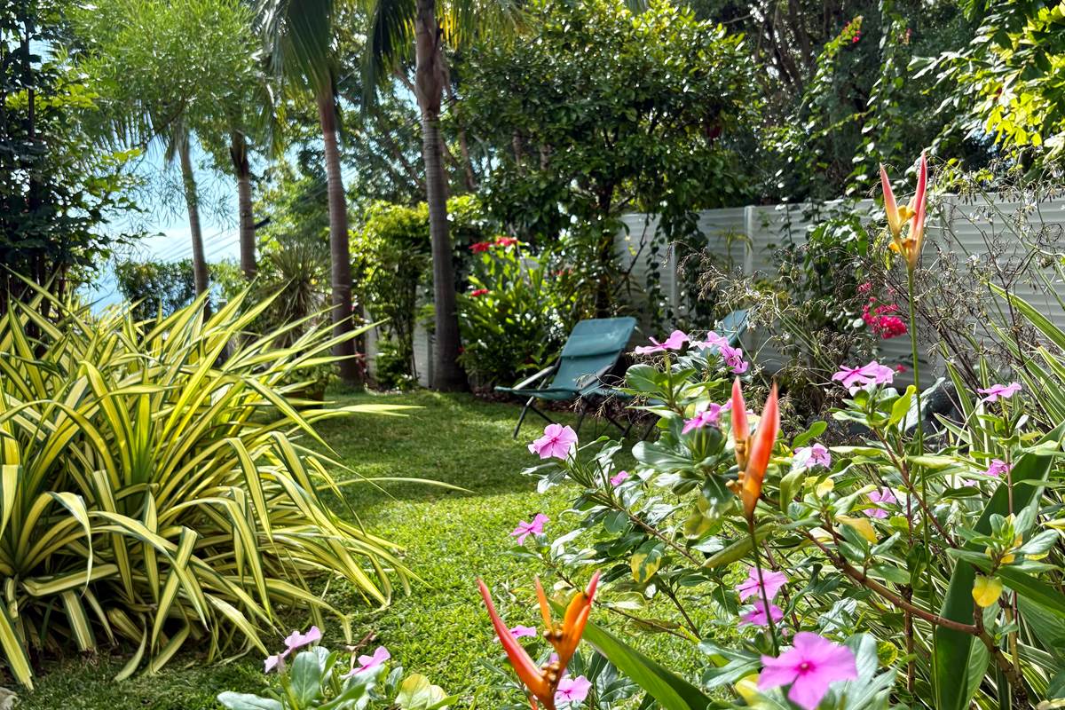 Jardin tropical