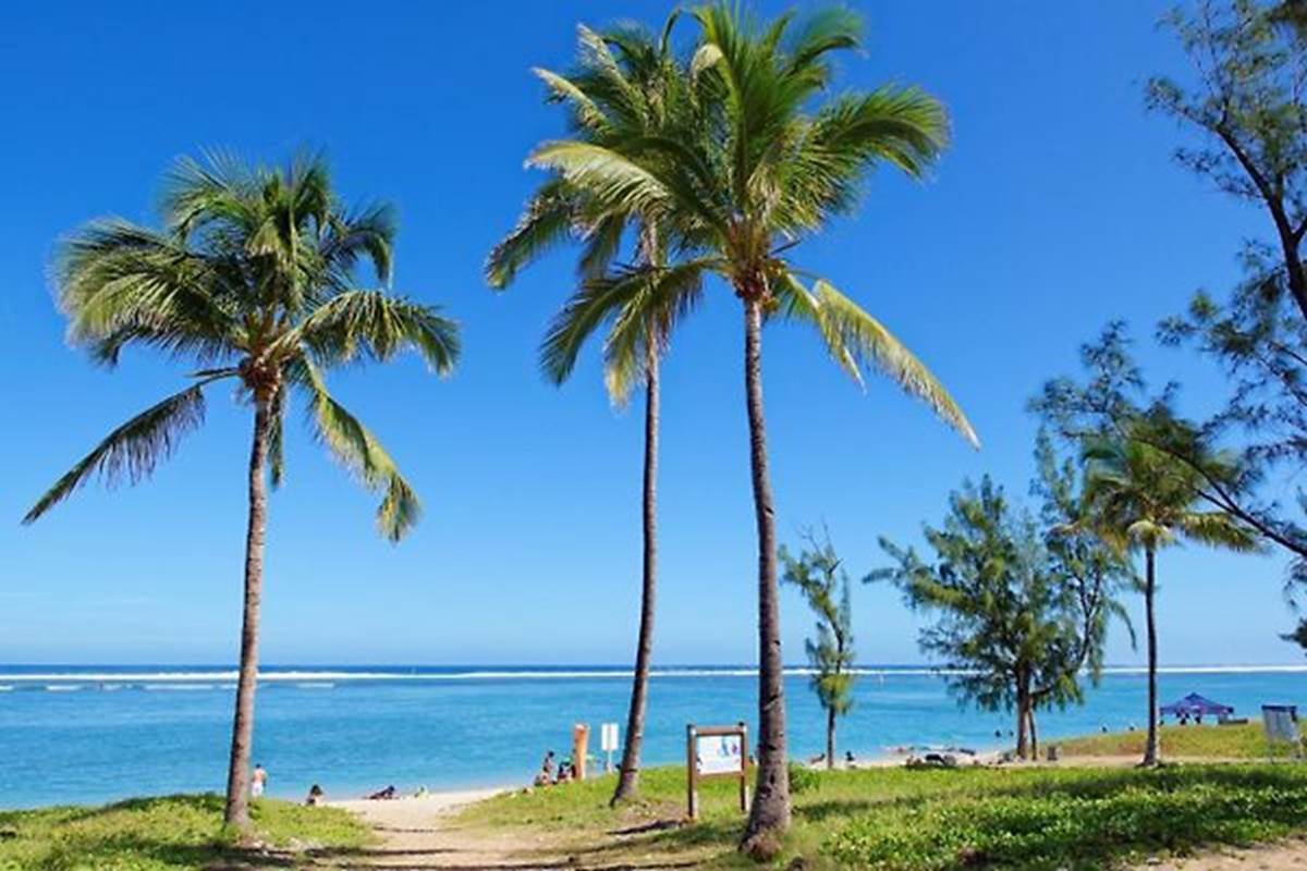 Filaos de la Plage du Trou d'eau