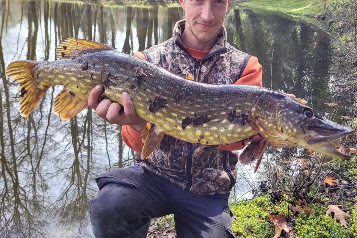 Etant privè à 7km du Moulin de Lavaugarde