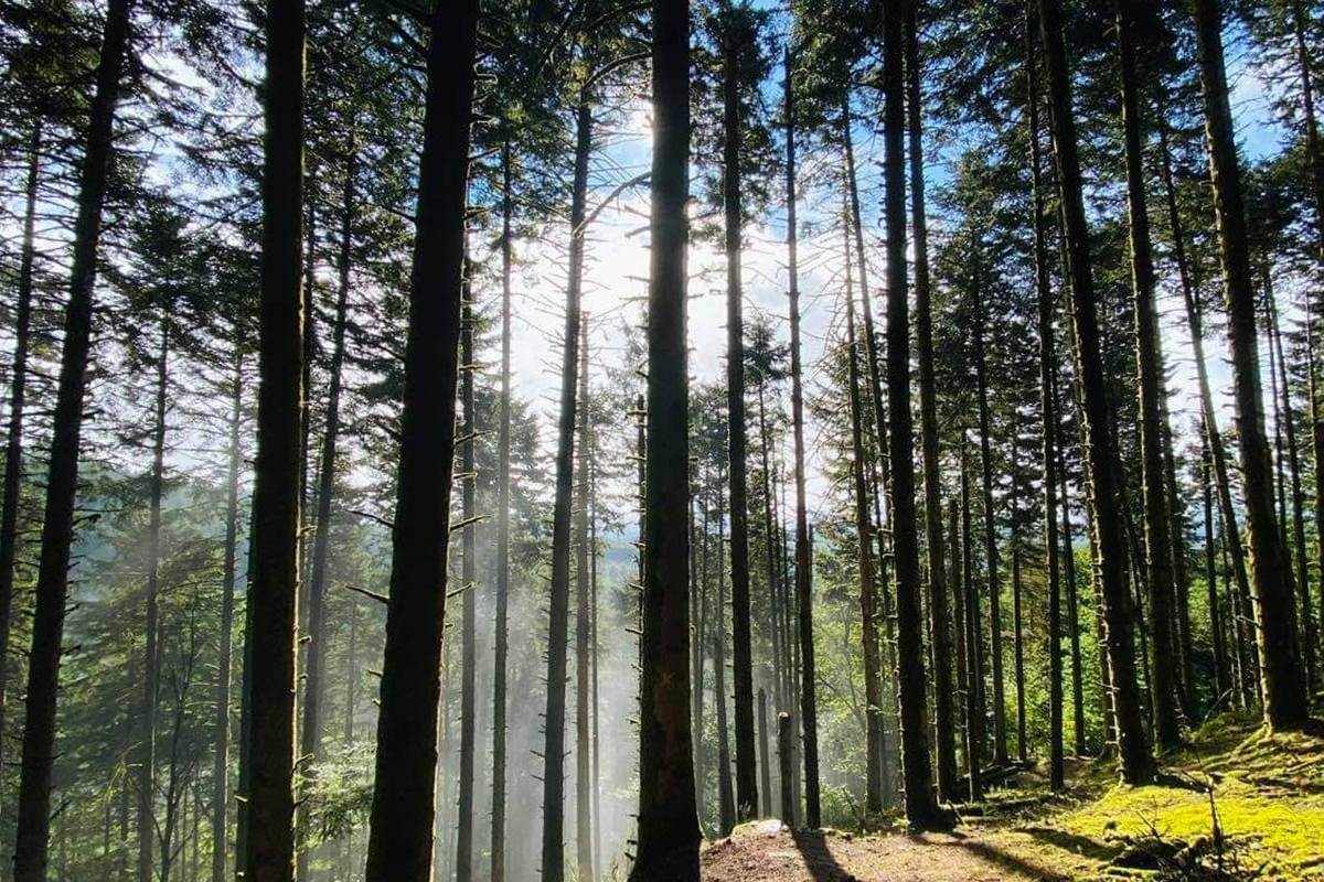 Bike Park Limousin
