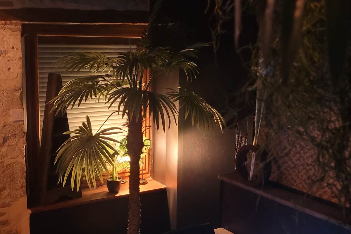 gite décoration jungle