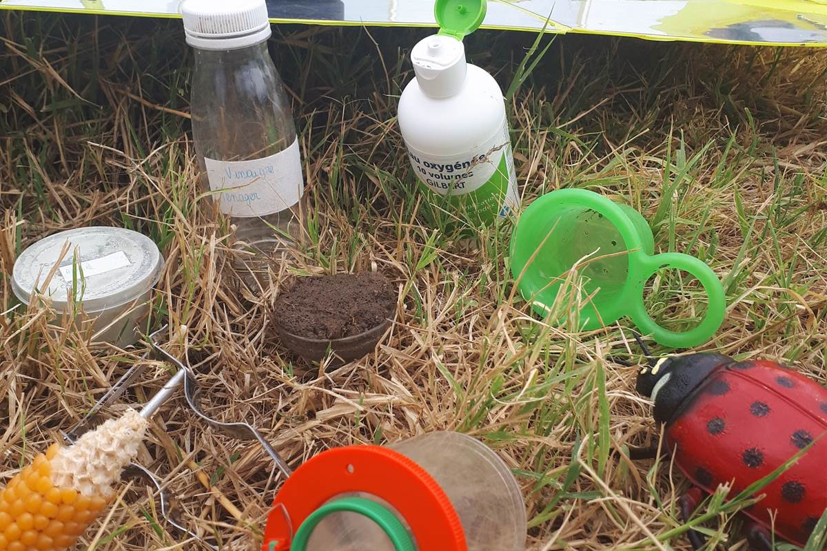 lps decouverte metiers agriculture