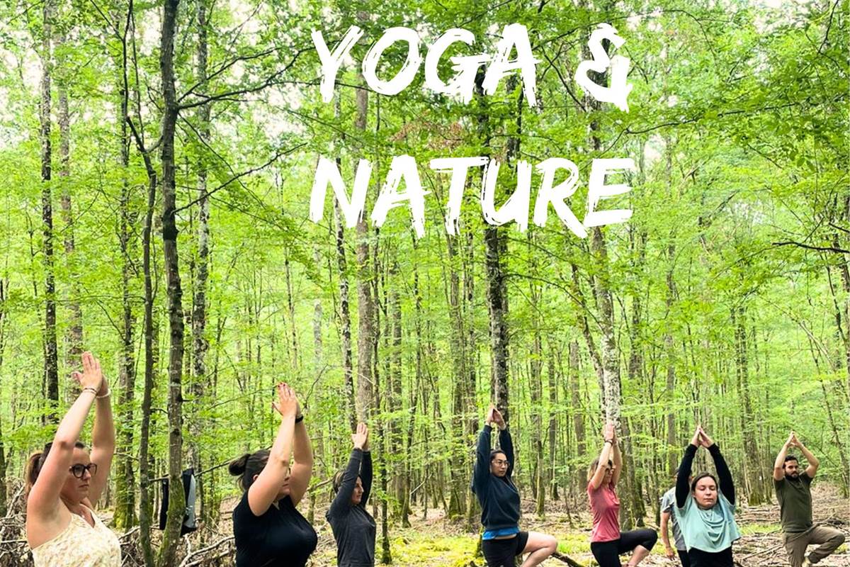 yoga nature