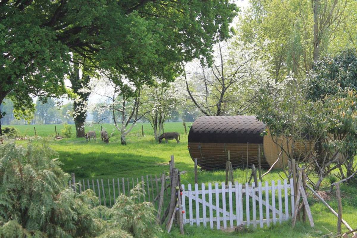 ecolodge printemps