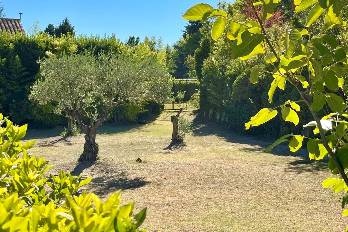 Vue du jardin côté cour intérieure