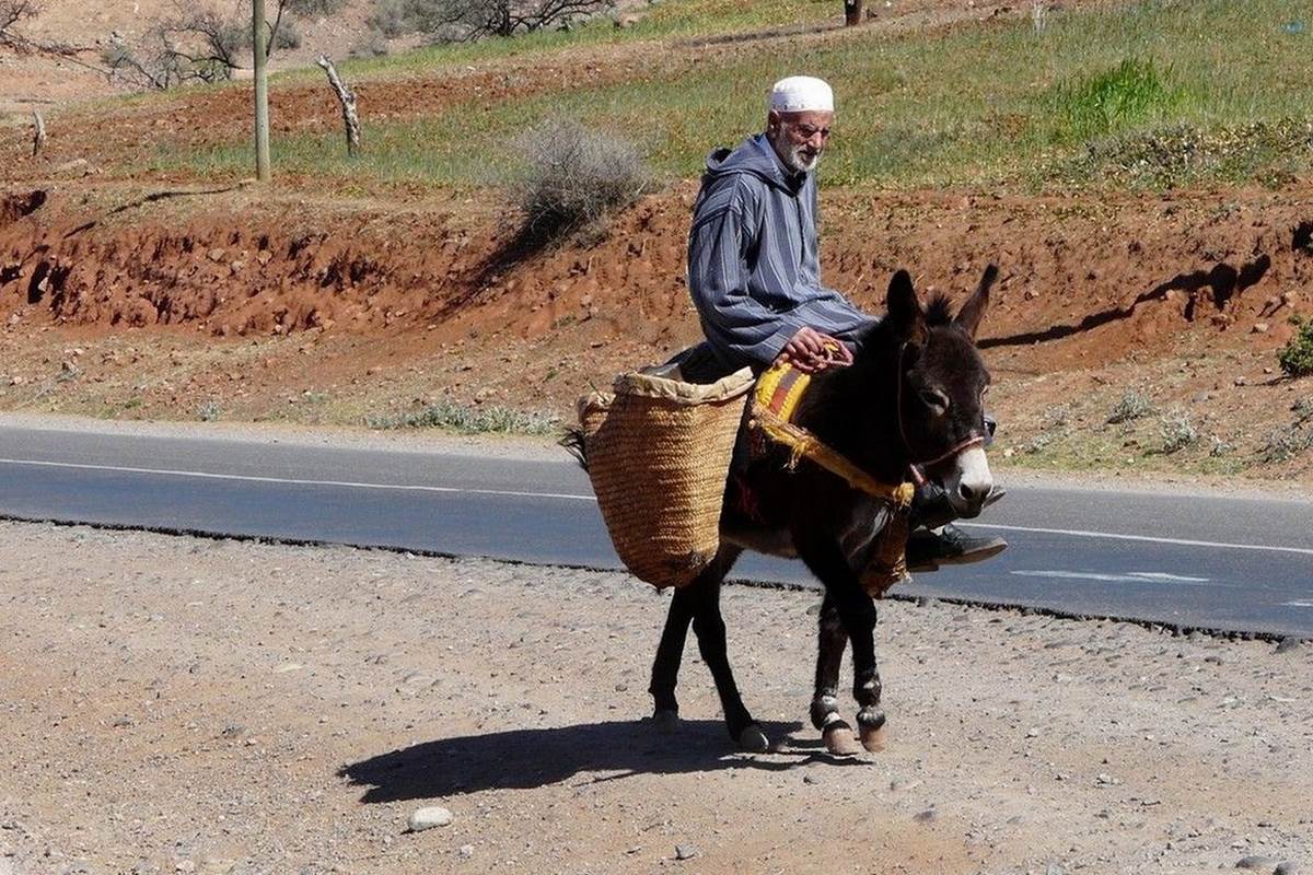 Transport traditionnel dans le sud marocain