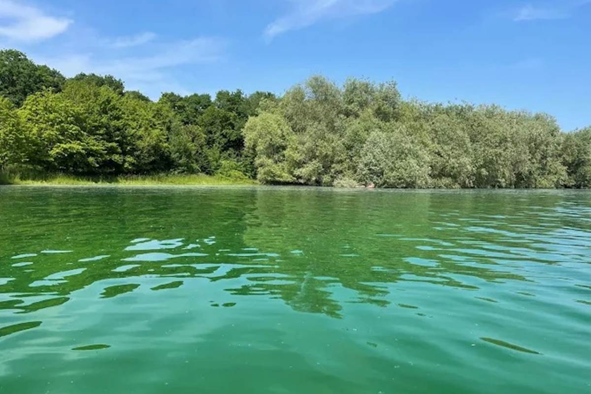 vue sur le lac du der
