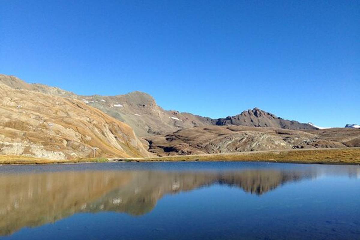 lac-cema