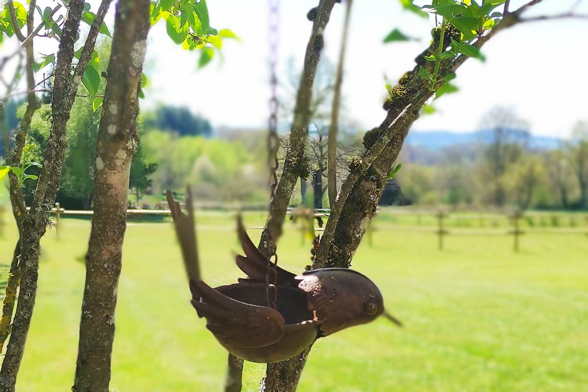 chambreshotes-jardin-oiseaux-sérénité-hautecorrèze