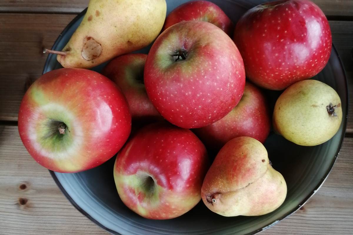 Les pommes du jardin