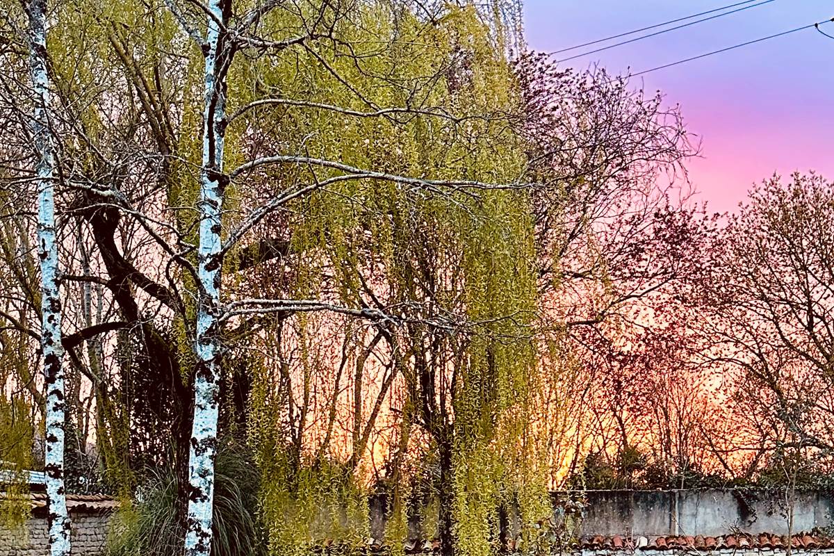 Jardin plein sud coucher de soleil_La Cavalerie