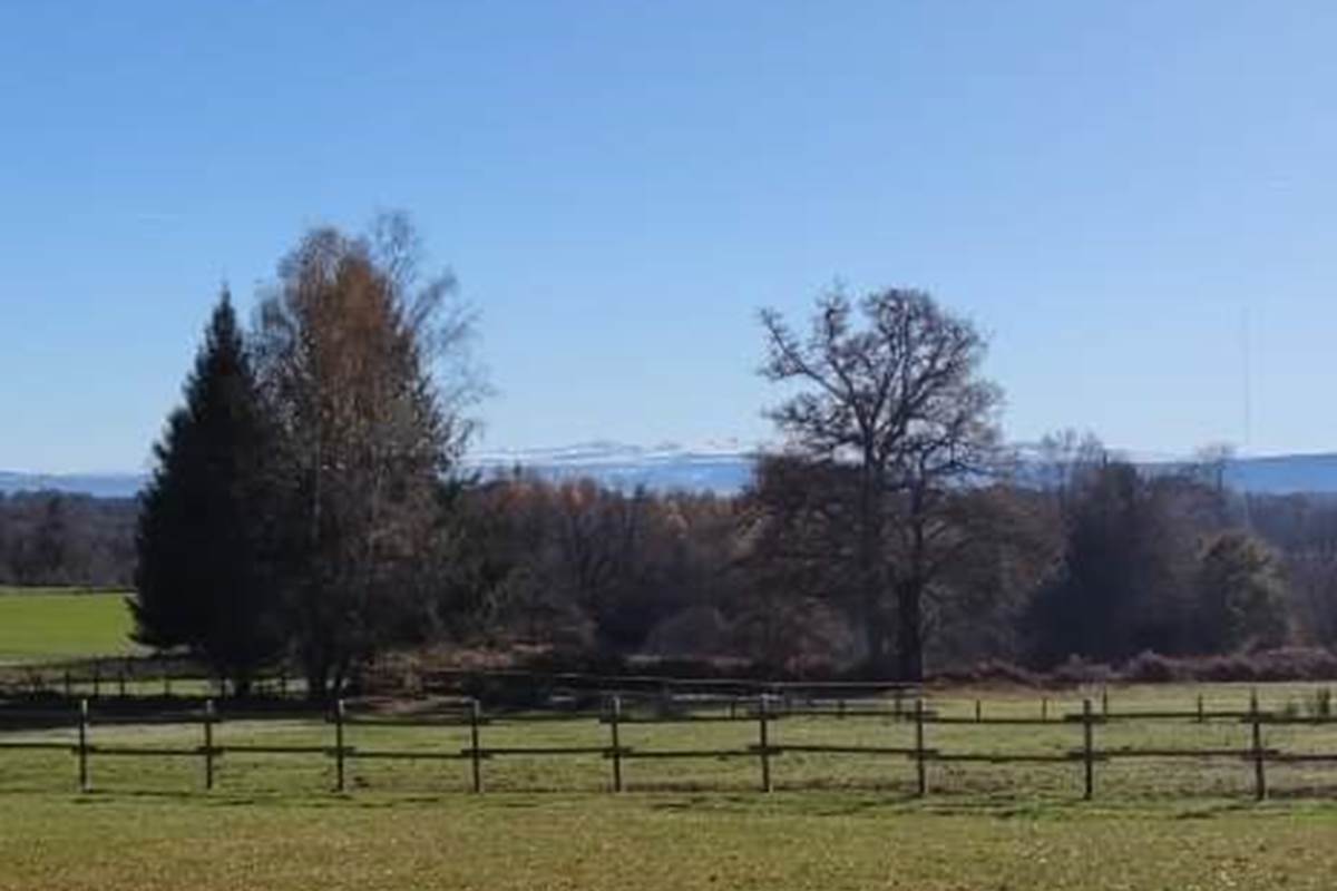 chambreshotes- parc-vue-monts-du-cantal-hautecorrèze