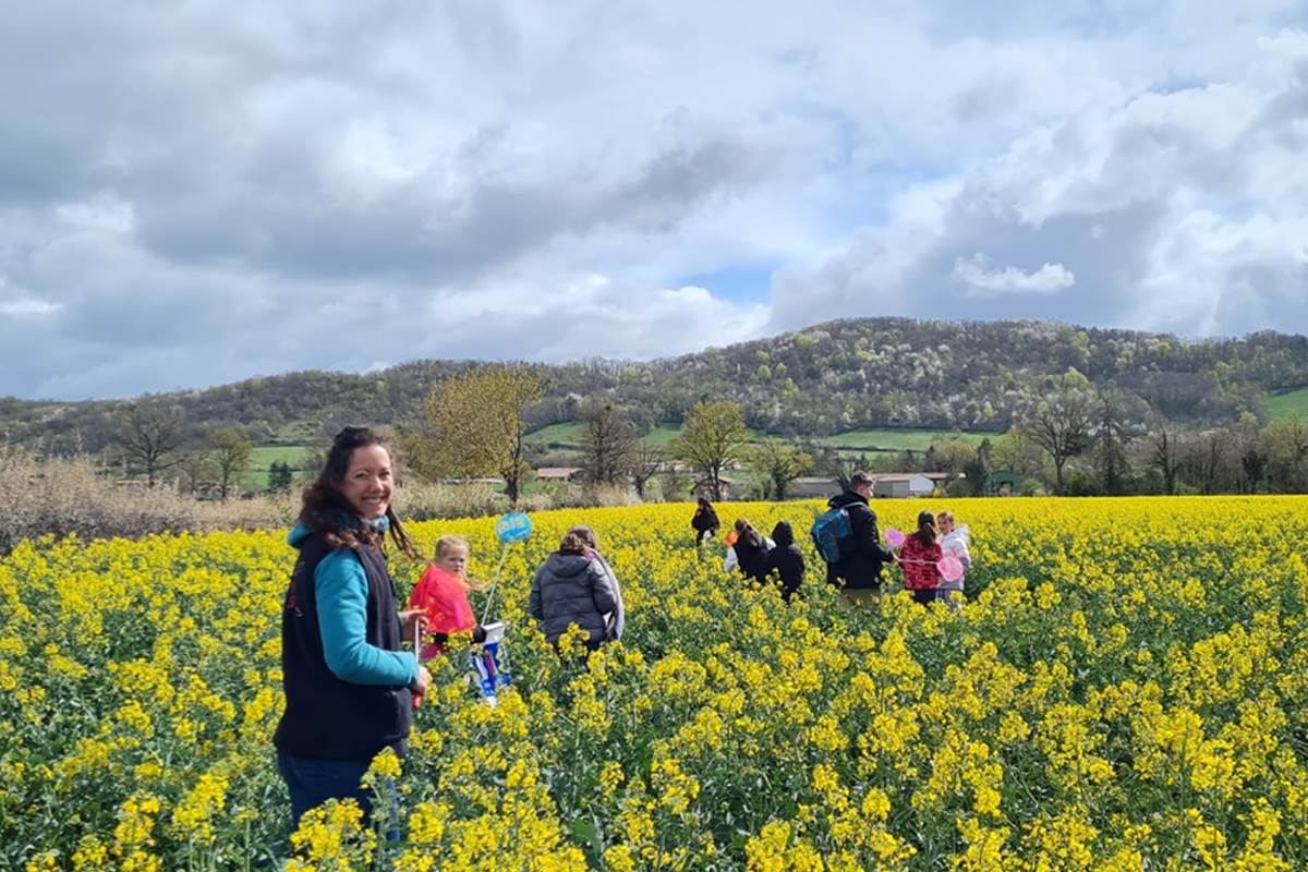 Ferme des delices foréziens,ferme pédagogique,vache,lait,agroécologie,biodiversité,colza,visites,loire forez,42,st cyr les vignes