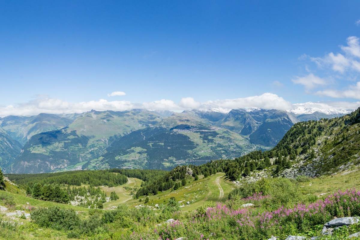DSC02388-Panorama