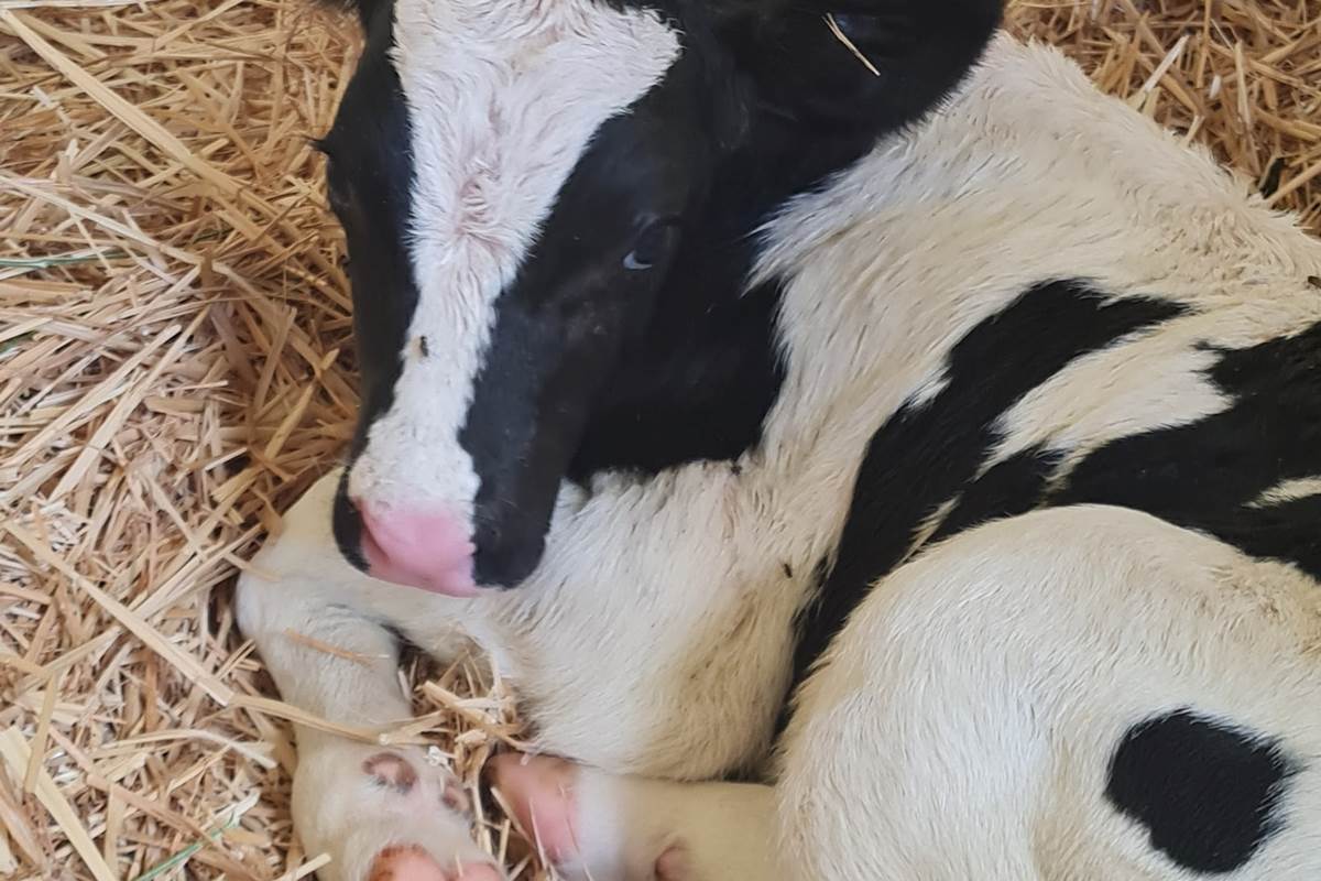 296908265_5152455824852059_4444962094623539021_n