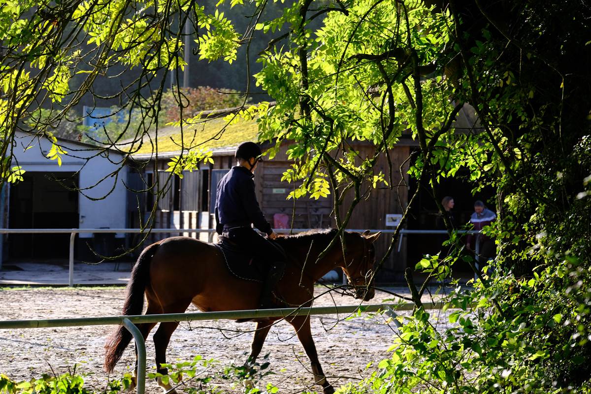 Centre Hippique sortie du village (Copy)
