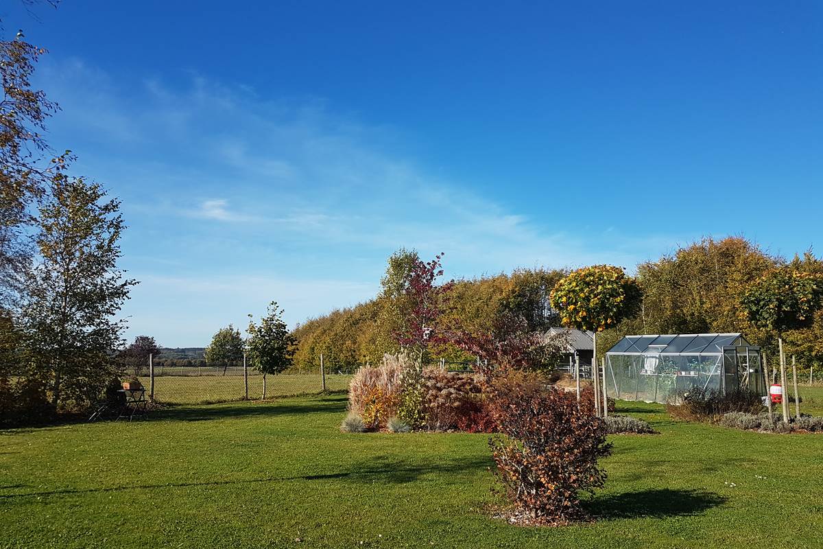 Vue sur le jardin et la serre