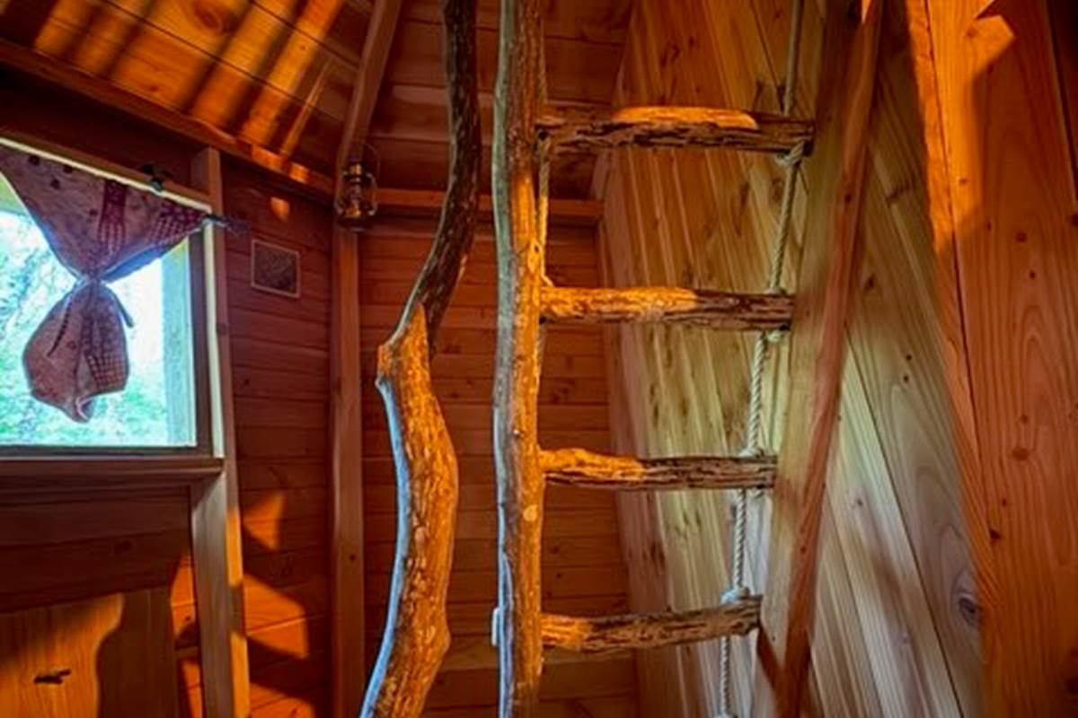 Intérieur Cabane
