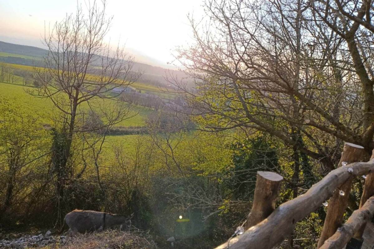 491022752_958570436449072_2914379896083986466_n-1-1024x766