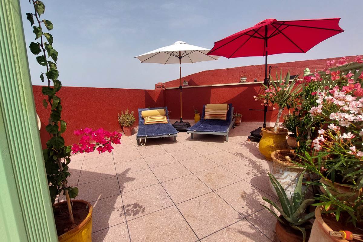 Terrasse_parasols