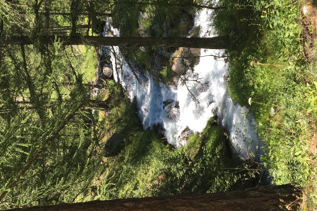 torrent