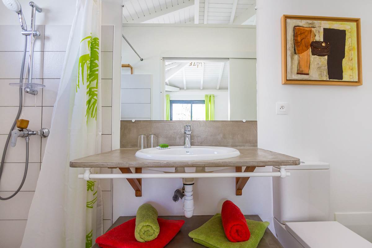 Iguane House villas & Micro Spa Suite Passion salle de douche