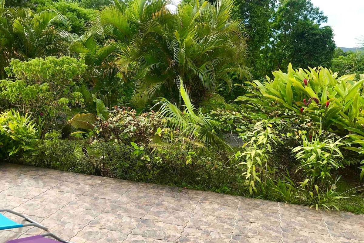 jardin