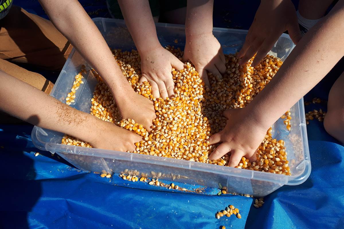 la ferme des delices foreziens, ferme pedagogique, visites familles,boîtes sensorielles,céréales,maïs,st cyr les vignes, loire forez, 42