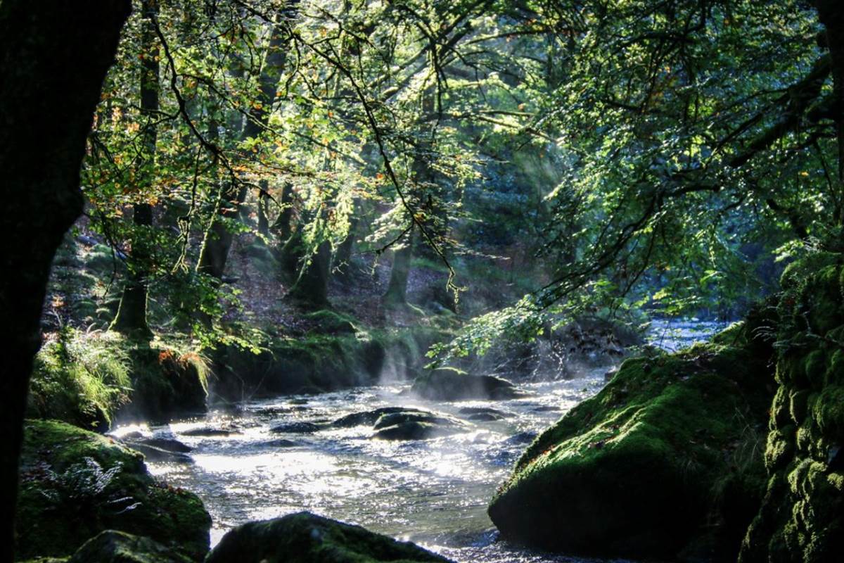 Nombreuses randonnées au départ de nos Gîtes "Le Chant des Sources" à Gimel-les-Cascades (19).