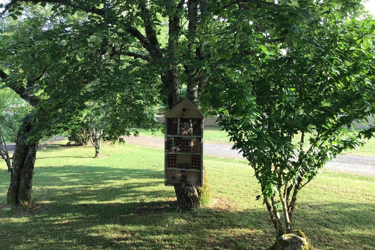 la maison des insectes ,ils installent